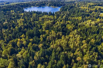 358 Xx NE Moss Lake Road, Carnation, WA 98014 - Photo 18