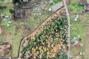 29621 Webster Rd E, Graham, WA 98338 - Photo 30