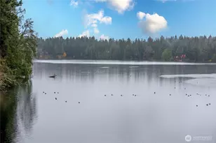 22145 N Clear Lake Blvd SE, Yelm, WA 98597 - Photo 18