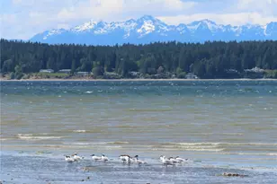 115 Alder Dr NW, Gig Harbor, WA 98335 - Photo 38