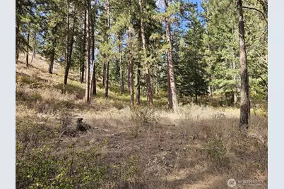 2 D Swauk Pines Road, Cle Elum, WA 98922 - Photo 18