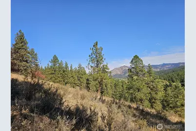 2 D Swauk Pines Road, Cle Elum, WA 98922 - Photo 10