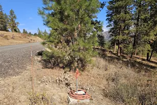 2 D Swauk Pines Rd, Cle Elum, WA 98922 - Photo 2