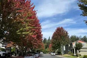 17724 72nd Ave E, Puyallup, WA 98375 - Photo 2