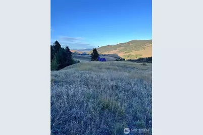 41 Gafvery Creek Road, Oroville, WA 98844 - Photo 4