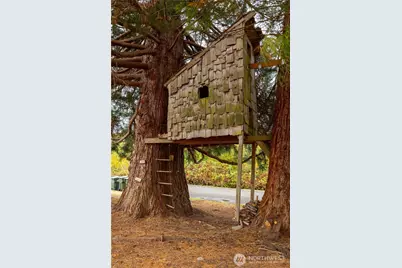 5330 Yearly Drive NE, Olympia, WA 98516 - Photo 30