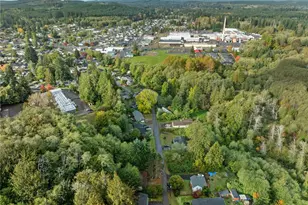 467 E Mommsen St, McCleary, WA 98557 - Photo 34