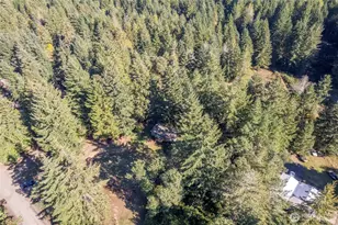 407 195th Ave SW, Lakebay, WA 98349 - Photo 20