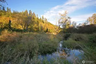 210 Brooklyn Rd, Oakville, WA 98568 - Photo 8