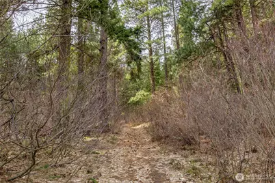 1 Chumstick Highway, Leavenworth, WA 98826 - Photo 4