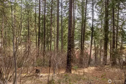 1 Chumstick Highway, Leavenworth, WA 98826 - Photo 10