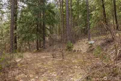 1 Chumstick Highway, Leavenworth, WA 98826 - Photo 8