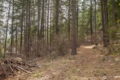 1 Chumstick Highway, Leavenworth, WA 98826 - Photo 6