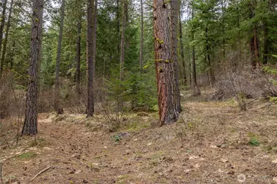 1 Chumstick Highway, Leavenworth, WA 98826 - Photo 14