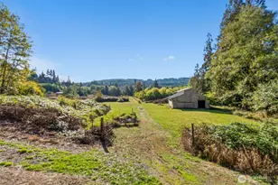 259 10 Tooley Rd, Toledo, WA 98591 - Photo 28
