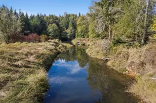 259 10 Tooley Rd, Toledo, WA 98591 - Photo 40