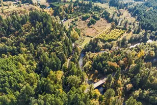259 10 Tooley Rd, Toledo, WA 98591 - Photo 34