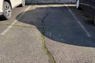 23850 102nd Ave SE, Kent, WA 98031 - Photo 18