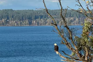 24-J View Pl, Hat Island, WA 98206 - Photo 20