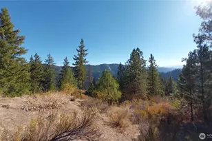 11685 Sunitsch Canyon Rd, Leavenworth, WA 98826 - Photo 4