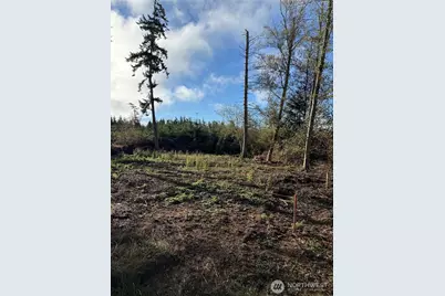 1454 Admirals Drive, Coupeville, WA 98239 - Photo 4