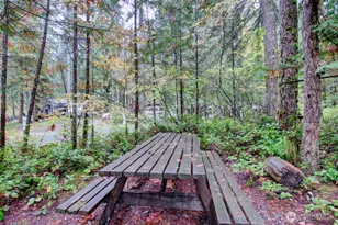 89 Sunset Circle, Deming, WA 98244 - Photo 12