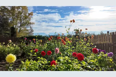 12509 Patricia Lane, Burlington, WA 98233 - Photo 38