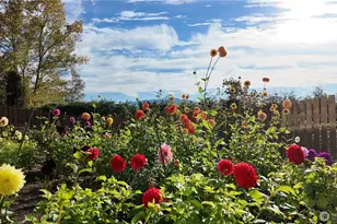 12509 Patricia Ln, Burlington, WA 98233 - Photo 38