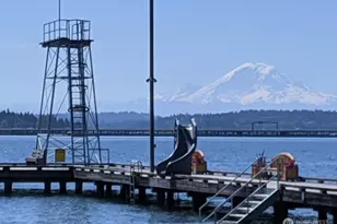 4103 43rd Ave NE, Seattle, WA 98105 - Photo 6