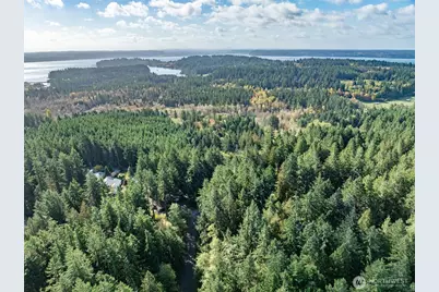 10602 Vantage Drive, Anderson Island, WA 98303 - Photo 4
