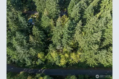 10602 Vantage Drive, Anderson Island, WA 98303 - Photo 2