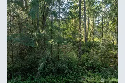 11316 Breaker Way, Anderson Island, WA 98303 - Photo 4