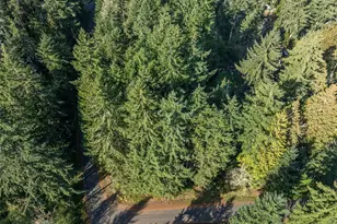 10102 104th Ave, Anderson Island, WA 98303 - Photo 1