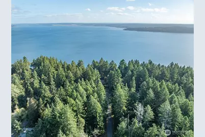 10102 104th Avenue, Anderson Island, WA 98303 - Photo 4