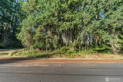10102 104th Avenue, Anderson Island, WA 98303 - Photo 2
