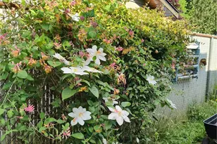 208 W Galena St, Granite Falls, WA 98252 - Photo 38