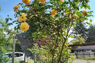 208 W Galena St, Granite Falls, WA 98252 - Photo 36