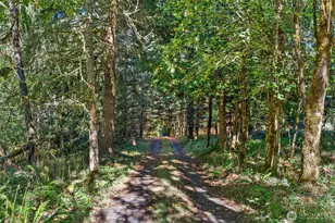 299 Conrad Rd, Winlock, WA 98596 - Photo 34