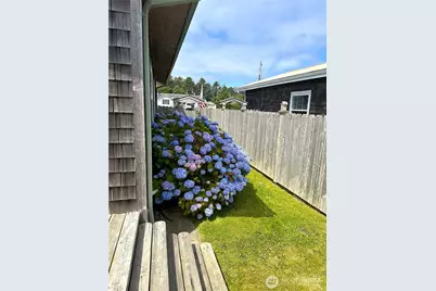 45 Central Avenue, Pacific Beach, WA 98571 - Photo 22
