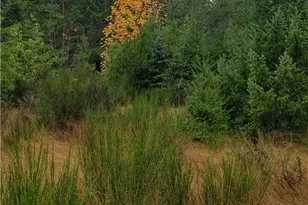 1140 1180 W California Rd, Shelton, WA 98584 - Photo 1