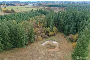 283 Sargent Rd, Winlock, WA 98596 - Photo 38