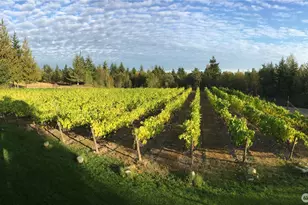 1673 Woodland Dr, Port Townsend, WA 98368 - Photo 38