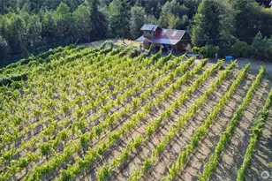 1673 Woodland Dr, Port Townsend, WA 98368 - Photo 6