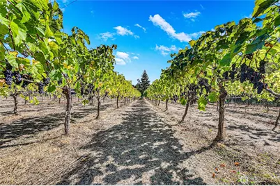 1673 Woodland Drive, Port Townsend, WA 98368 - Photo 34