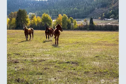 320871 Highway 2, Newport, WA 99156 - Photo 4