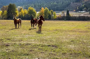 320871 Hwy 2, Newport, WA 99156 - Photo 4