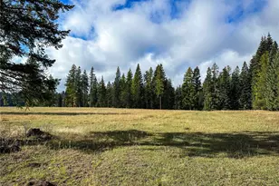 320871 Hwy 2, Newport, WA 99156 - Photo 2