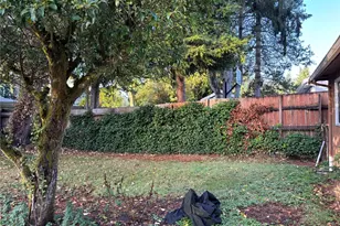 821 195th St, Shoreline, WA 89155 - Photo 18