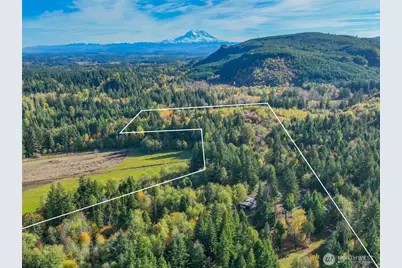 17328 Mulqueen Road SE, Rainier, WA 98576 - Photo 2
