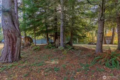 17328 Mulqueen Road SE, Rainier, WA 98576 - Photo 6